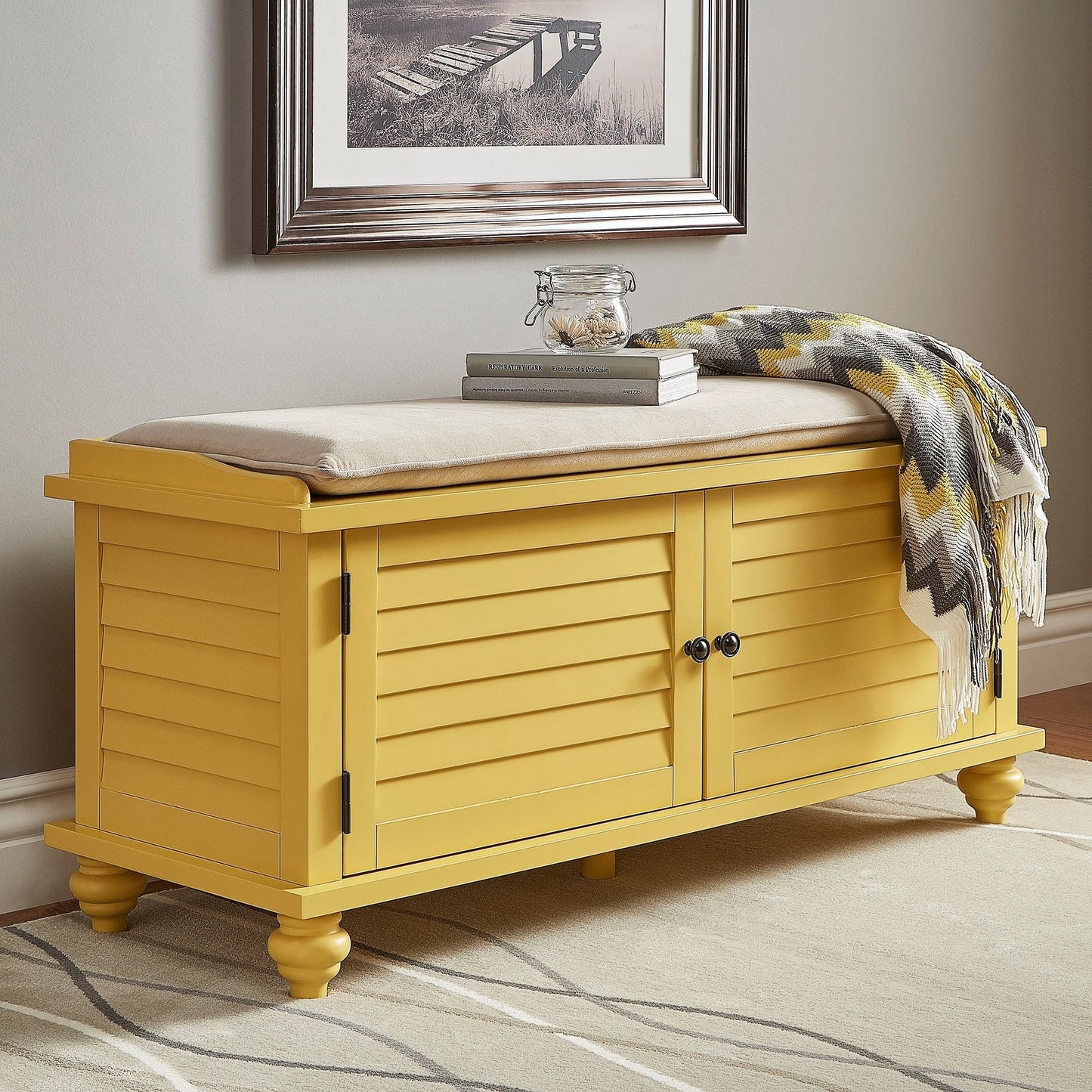 Banc de rangement à porte à volet avec coussin en velours Maybelle de iNSPIRE Q Classic