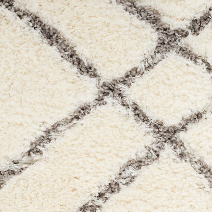 Nourison Luxurious Shag Ultra Plush Pile Abstract Geometric Area Rug